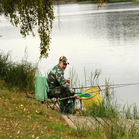 With A Garden, Close To The *