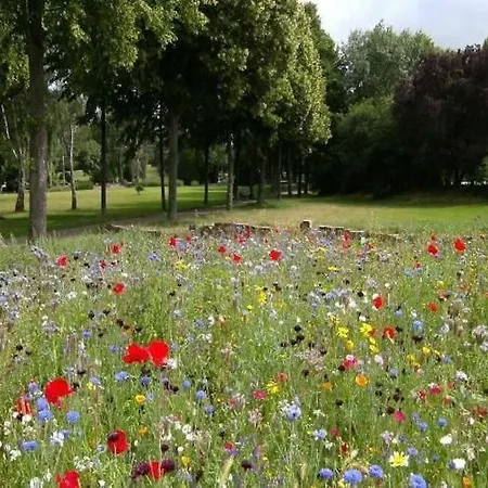 With A Garden, Close To The