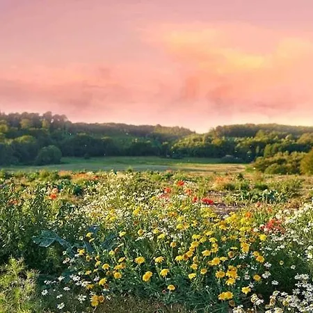 With A Garden, Close To The