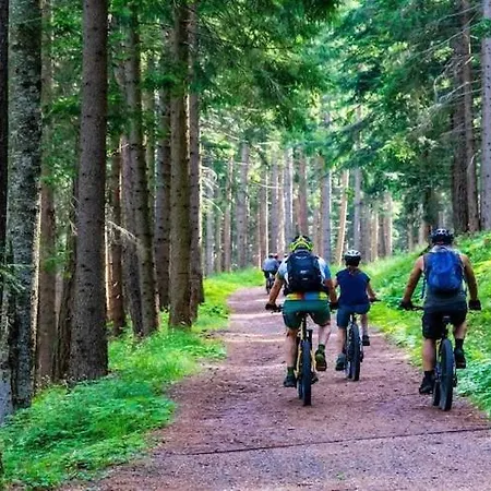 Summer House By Rosnowskie With Terrace *