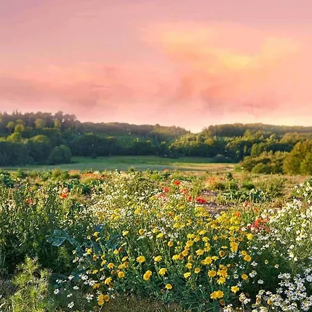 With A Garden, Close To The *